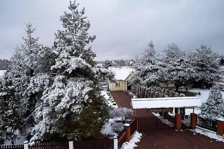 Agroturystyka Barycz 46 Konskie Buitenkant foto