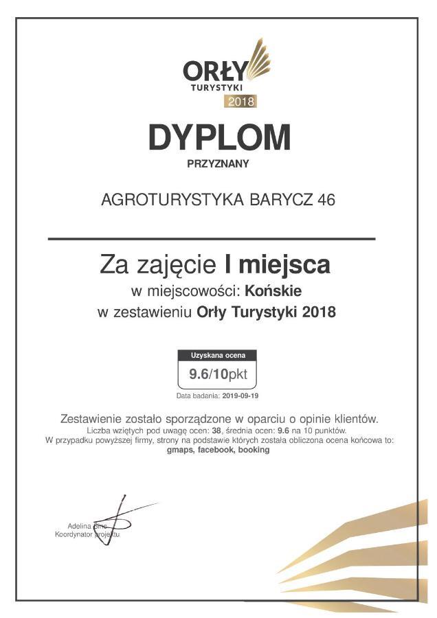 Agroturystyka Barycz 46 Konskie Buitenkant foto